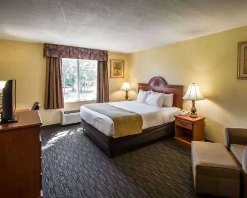 Comfort Inn & Suites Jupiter I-95 Hotéis em Jupiter
