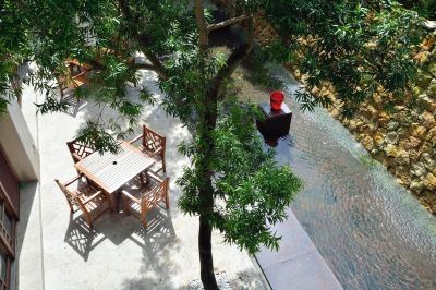 カフェ ザ・ナハテラスの写真