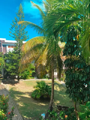 Cozy One-Bedroom & Mezzanine Apartment