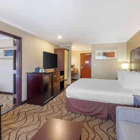 Best Western Plus Orchid Hotel  Suites