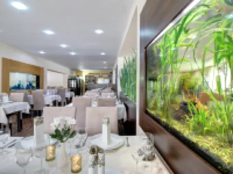 迪克森酒店 班斯卡－比斯特里察酒店