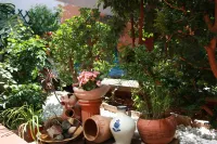 B&B "Domus Atilia" - Bed and Breakfasts
