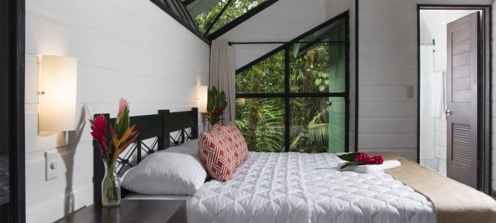 Tapirus Lodge and Reserve Hotels in Pococi