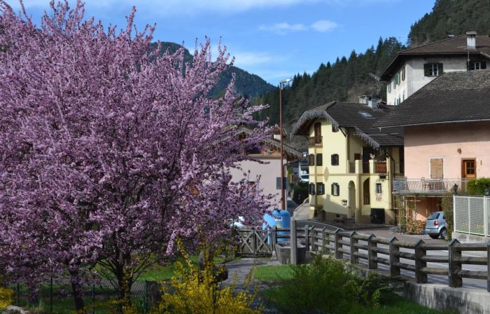 B&B La Tana dellOrso - Die Barenhohle