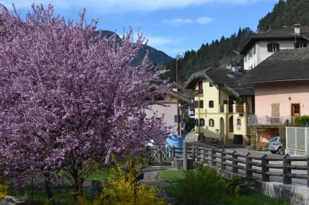 B&B la Tana Dell'Orso - Die Bärenhöhle