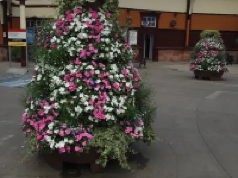 The Foresters Guest House Hotels in Greenock