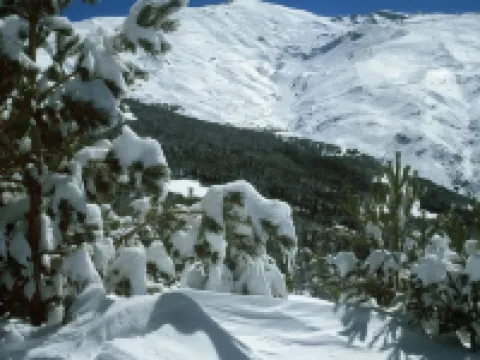 Snow Comfort Edificio Monte Gorbea Hotels in Monachil