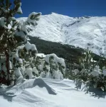 Snow Comfort Edificio Monte Gorbea Hotels in Guejar Sierra