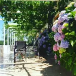 Quinta da Varzea Hotel a Santarem