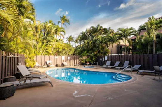 Tropical & Serene Garden Vistas