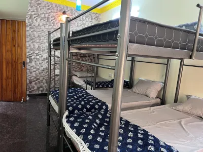 Soloscape budget friendly backpackers hostel فنادق في 
