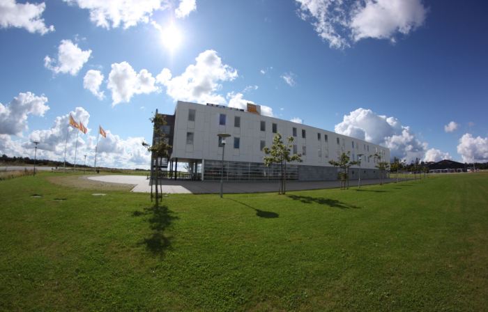 Motel X