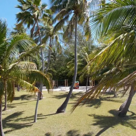Matecumbe Resort