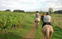 La Mancine Laulan Hotels in Civrac-en-Médoc