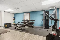 Hampton Inn Elkton - Kuntosalit
