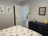 The blue jays nest; a  3-bedroom house with WiFi, AC in marvelous Dunedin