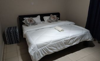 Executive 1&2 Broom Airbnb in Gilgil Nakuru