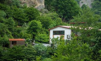 Hotel Dzeruli