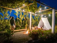 Viñedo Sotelo - Hospedaje y Glamping Hoteles en Ica