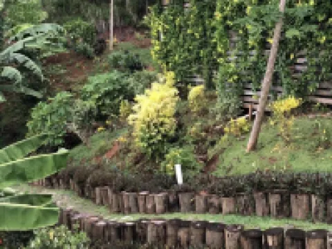 VatuVonu Hotels in Malolo Island