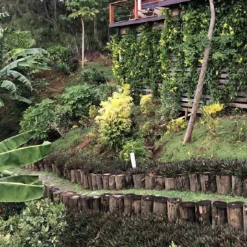 VatuVonu