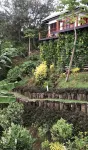 VatuVonu