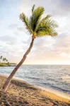 Unit C - Sandy Toes Getaway in Kona - Wifi