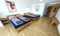 Country house at the Schindelberg lift - family nest