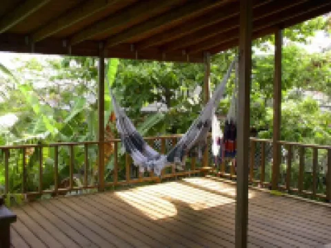 Tropical to go! Apt. 1