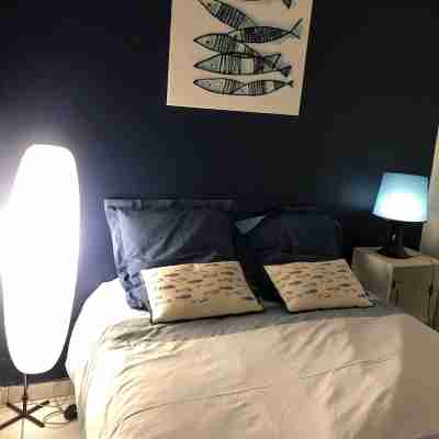 Superb modern studio in typical neighborhood Rooms