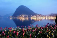 Luxury Apartment the Dom Lugano
