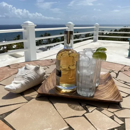 Best Views in Vieques! - Both Studios