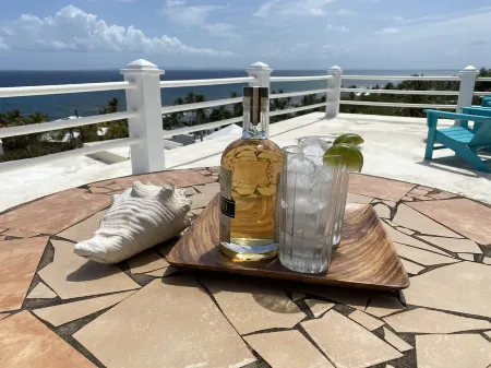 Best Views in Vieques! - Both Studios