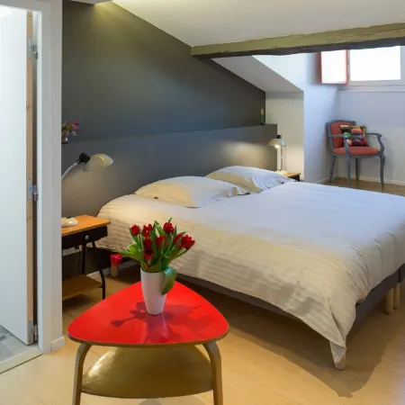 Apartment/ flat - NancyLuxury Apartment