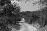 Transhi by Cunuc'i Cristi, we are completely off-the-grid, ground with nature!