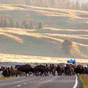 Big Sky Condo - Walk to Restaurants/Shops/Shuttle Others