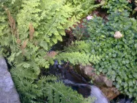 Rebuilt watermill ,, Water Falls. Private swimming pool. Tennis Court