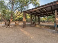 Remodeled Ranch House on 3 acres with Horse Facilities Hotels in Tanque Verde