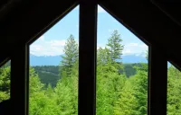 Pinecrest Cabin- a relaxing mountain cabin close to town