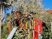 Sunny holiday home with a cozy sleeping loft, idyllically located in the garden. Hotels in Barth