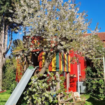 Sunny holiday home with a cozy sleeping loft, idyllically located in the garden.