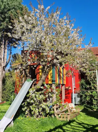 Sunny holiday home with a cozy sleeping loft, idyllically located in the garden.