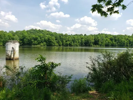 Nolin Lake/ Rough River Country Home!