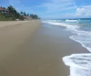 Ocean view luxury condo steps from the beach Hotels in 