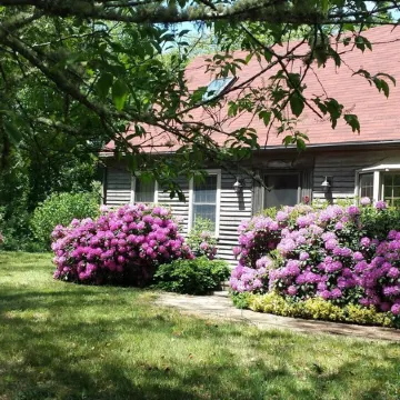 " The Eastham Cape House"