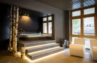 Hotel Europe Hotels in Zinal