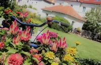 Hotel Germersheimer Hof Hotels in Zeiskam