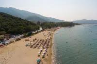 亞歷山大酒店 - 沙灘