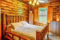 Secluded Cabin w/ on-Site Creek + Trails! - 3-Star