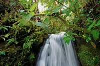 Bomboli Cloud Forest Hotels in Machachi